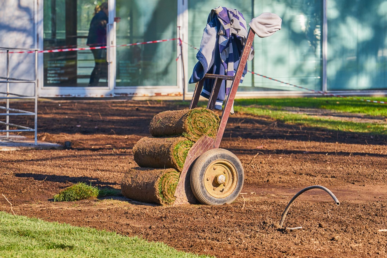 Landscaping and turf