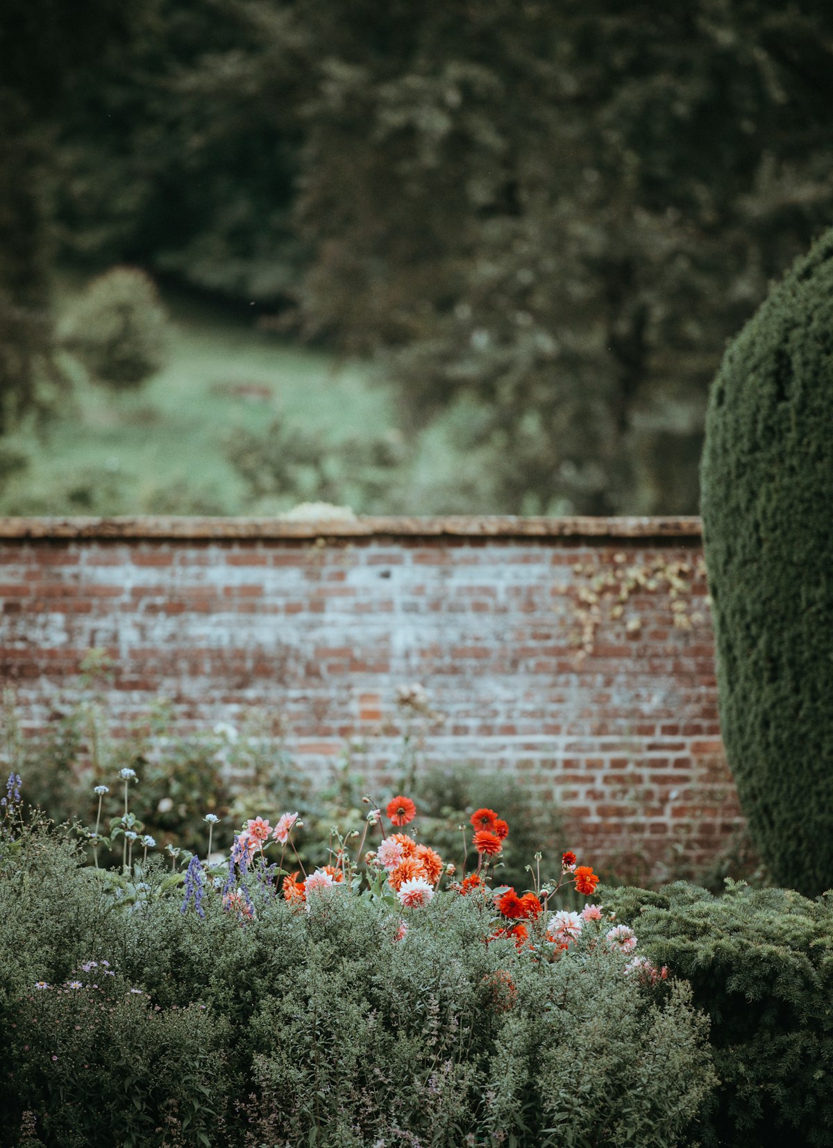 Garden walling and fencing